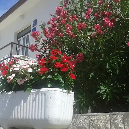 137 Apartament *