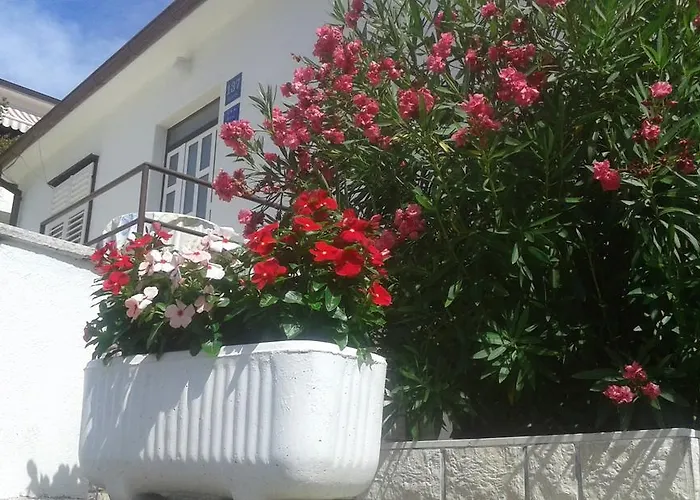 137 Appartement *